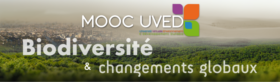 MOOC UVED « Biodiversité et changements globaux »