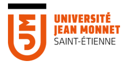 Université jean Monnet Saint-Etienne